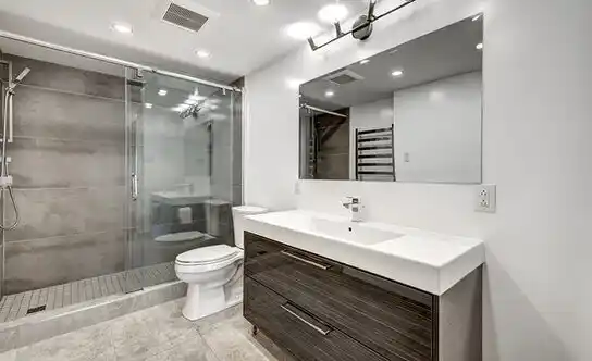 bathroom services Palmview South